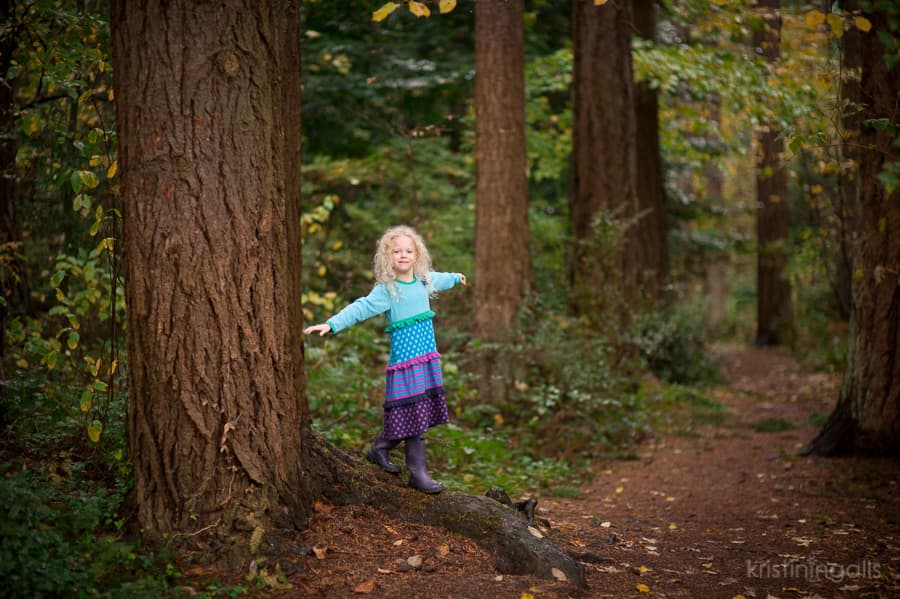 Bellevue park photography - Robinswood