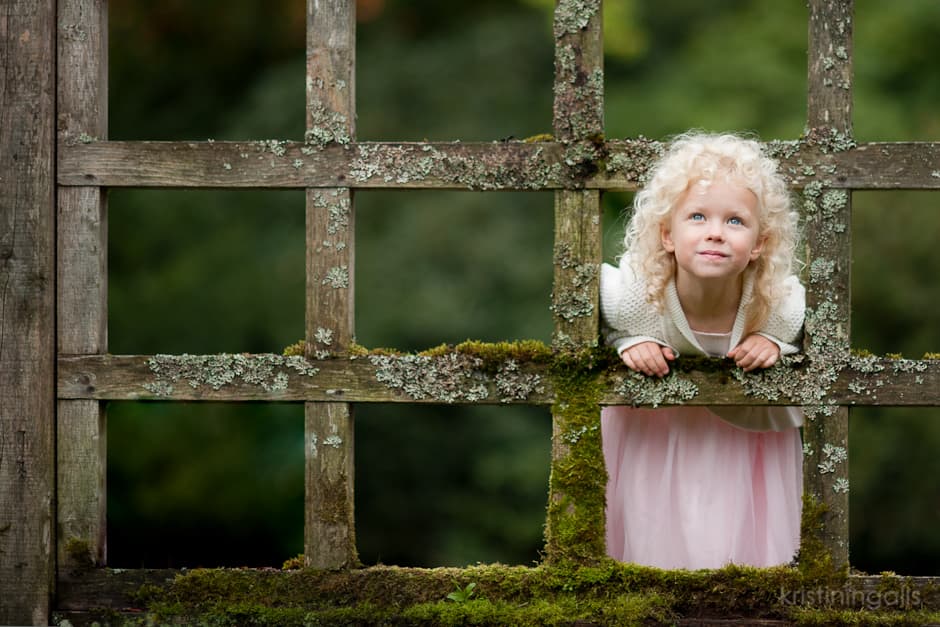 Bellevue park photography - robinswood 11