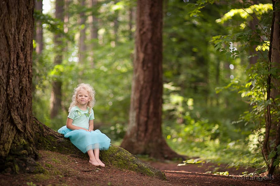 Bellevue park photography - robinswood 12