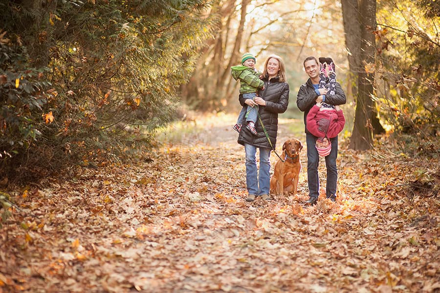 Kirkland wooded area photography - kirkland woods new