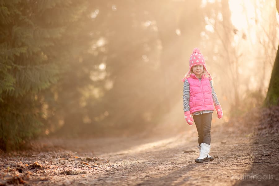Kirkland wooded area photography - watershed 10