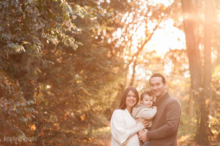 Kirkland wooded area photography - watershed 13