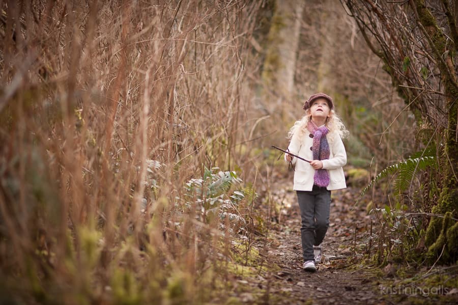 Kirkland wooded area photography - watershed