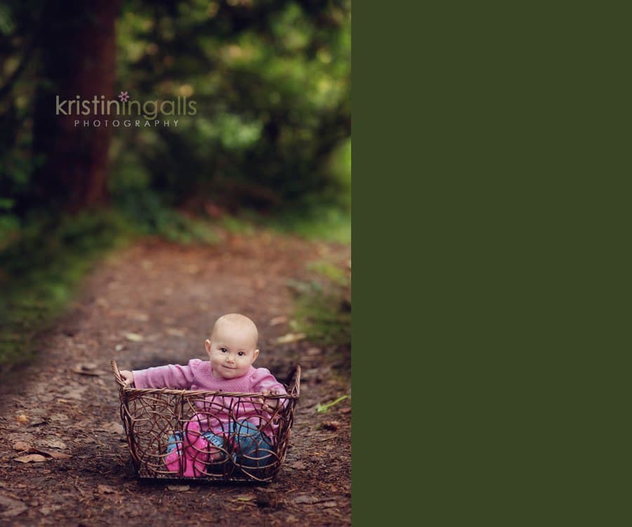 Kirkland wooded area photography - wathershed 10